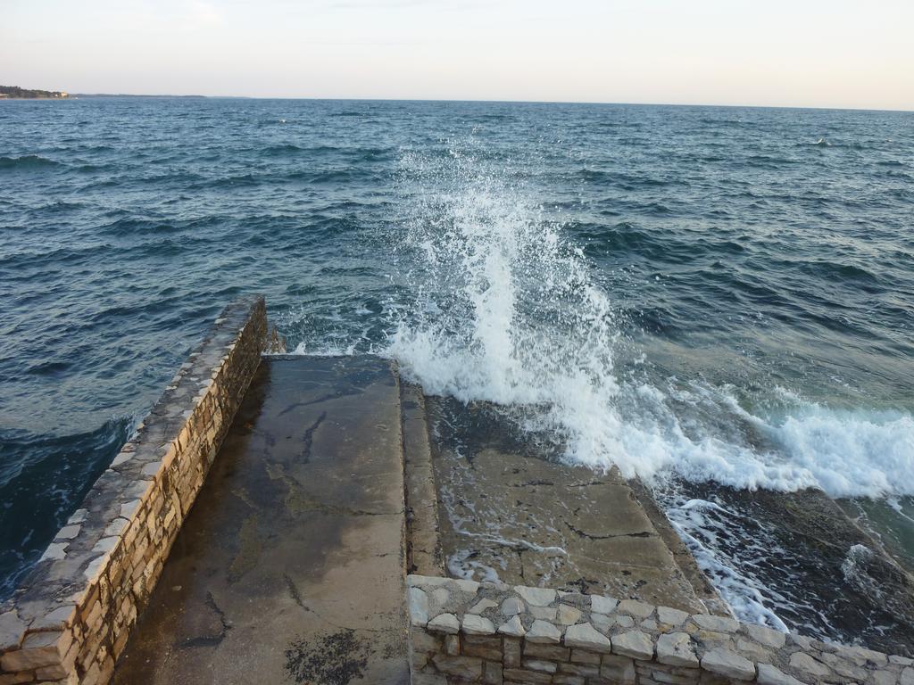 Studios Slavica Novigrad Istria 객실 사진